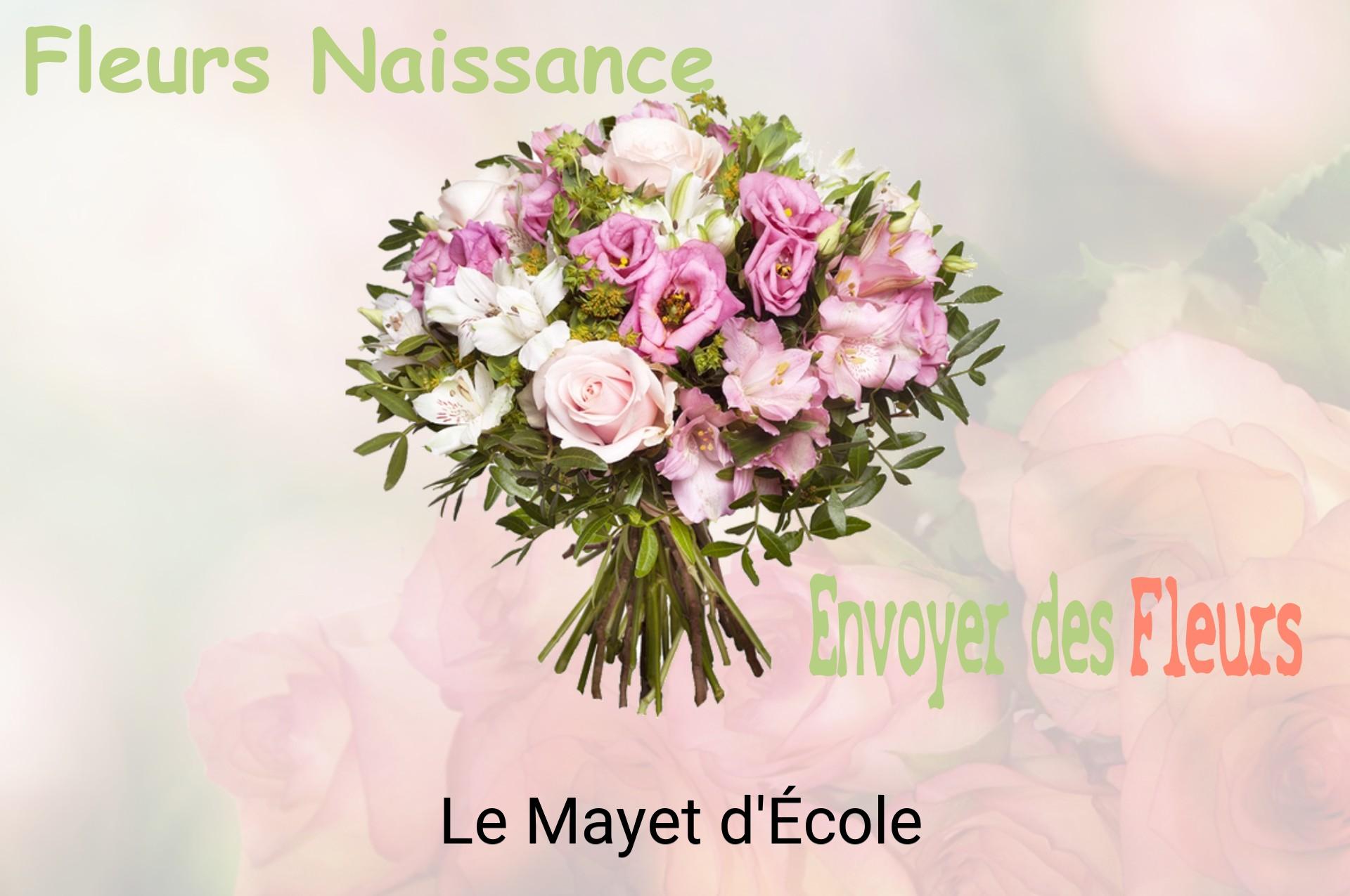 Bouquet de fleurs de naissance livré à Le Mayet-d'École